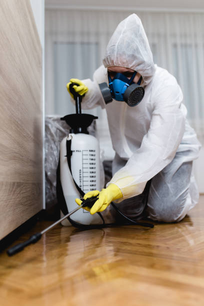 Professional Pest control in Pleasant Grove, UT